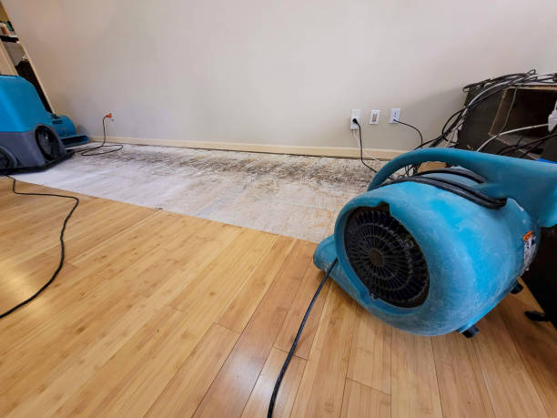 Professional Water Damage Repair technician working in Versailles, PA